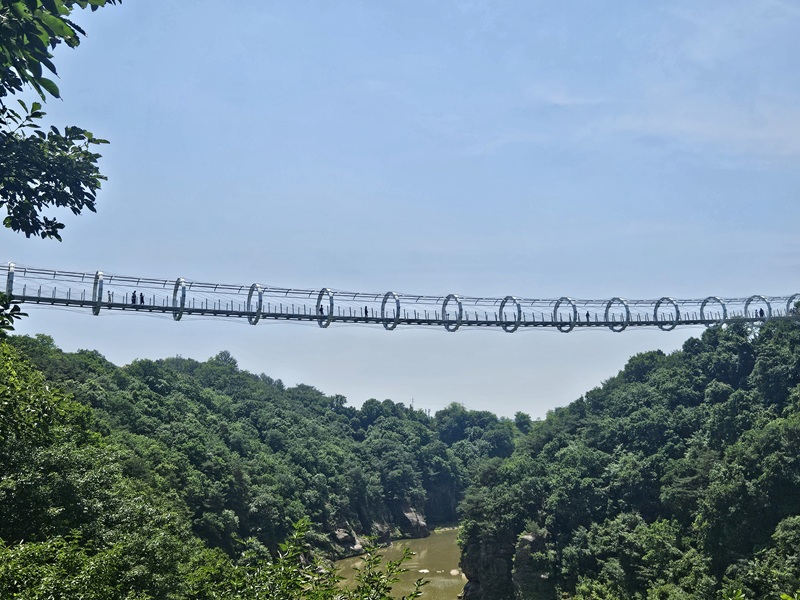 036228e08d99de729f3be7fce4a2d3b6_1782431384_7202.jpg